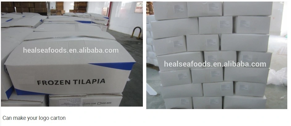 Chinese Frozen Black Tilapia Price (500-800g)