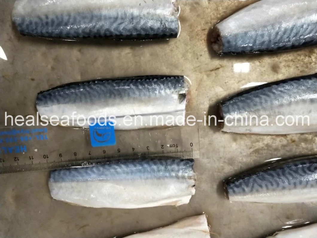 Land Frozen Pacific Mackerel Hgt with Good Price