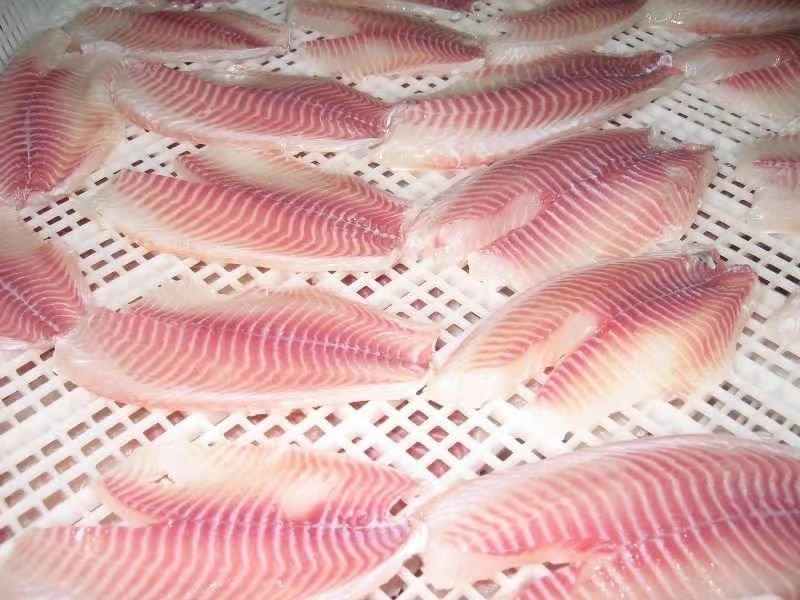 Frozen Chinese High Quality Tilapia Fillet