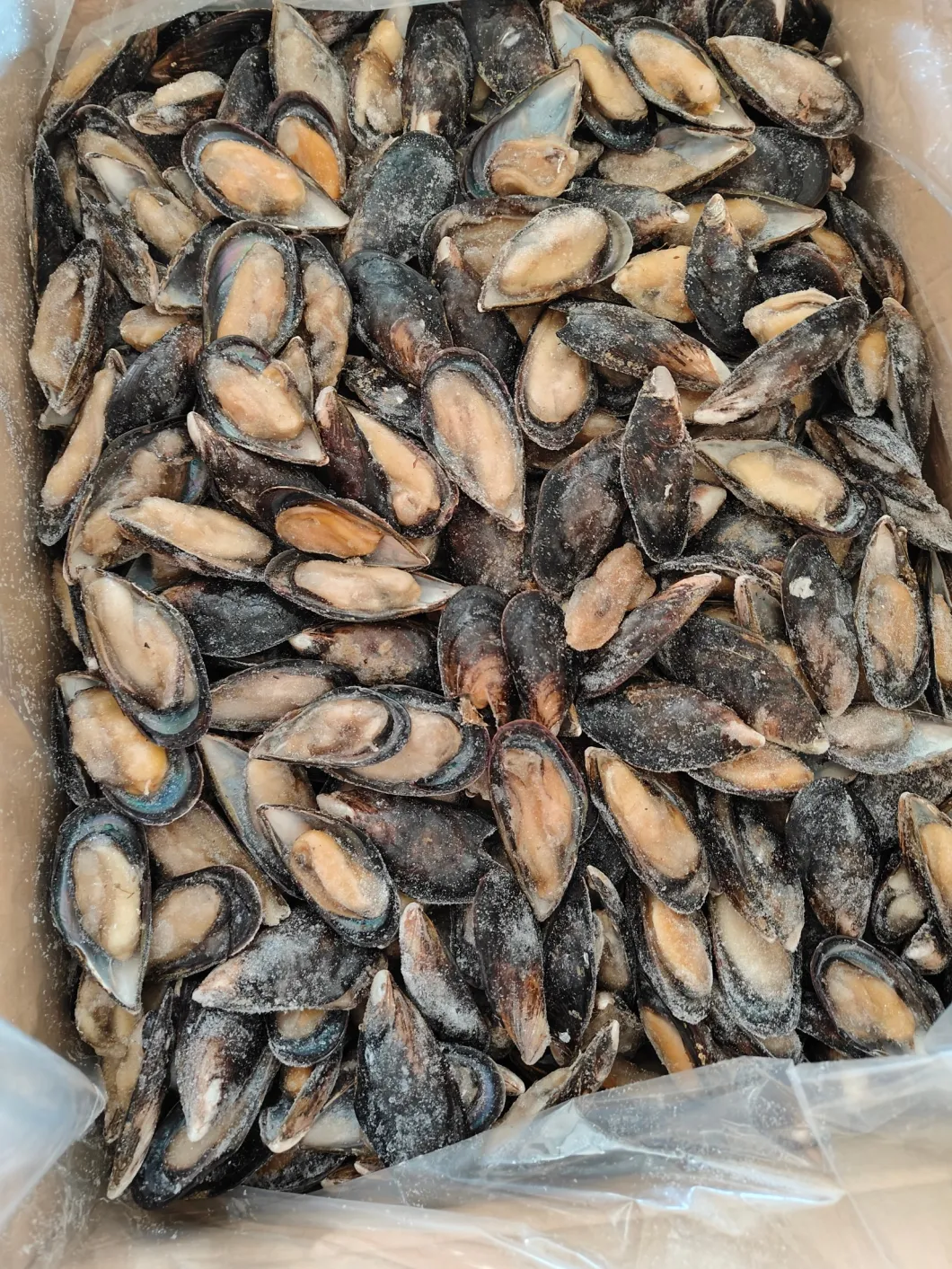 Frozen Boiled Half Shell Mussel