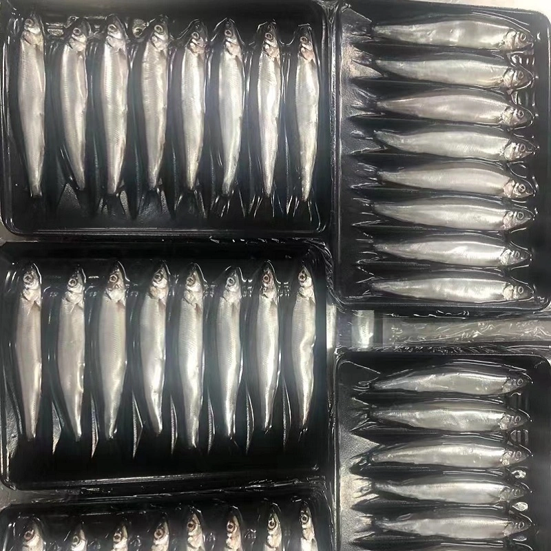 High Quality Delicious Frozen Capelin Frozen Fish Wholesale Mallotus Villosus