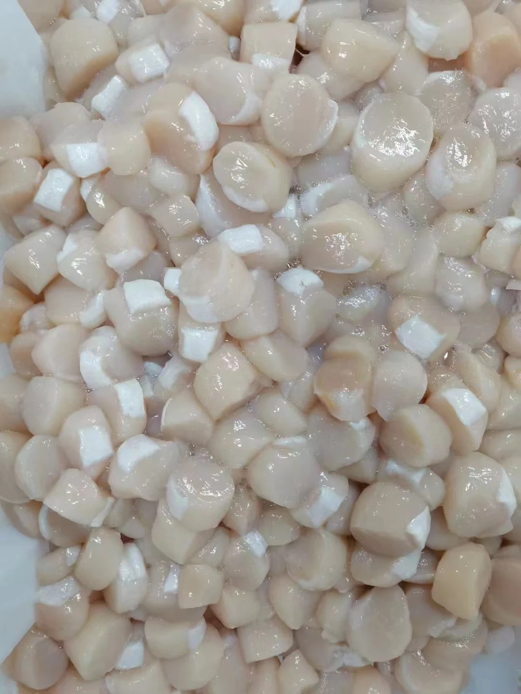 Frozen Scallop Meat/Frozen Seafood/Shellfish/Sea Shell