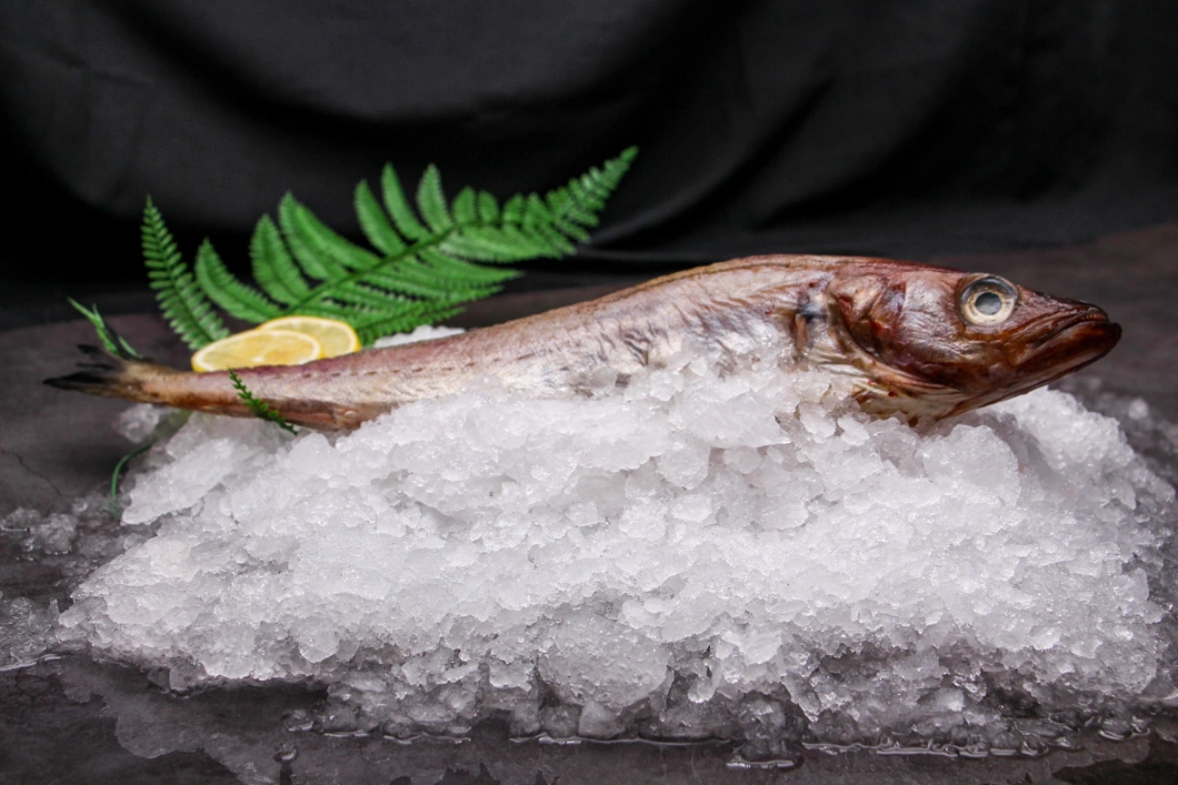 Factory Outlet Reasonable Price Delicious Fresh Frozen Half Dried Pollock