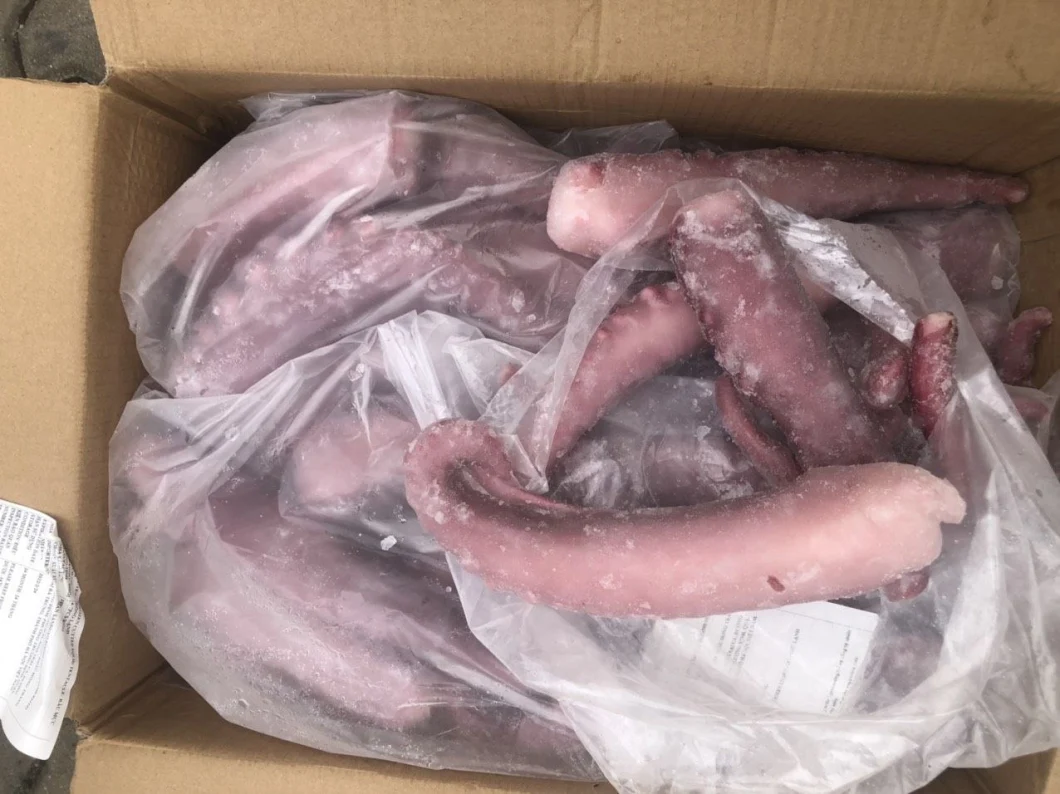 Frozen Squid Tentacle Strip Cut/ Frozen Giant Squid Tentacle/Calamari/Calamar/Pota/Sotong/Calmar