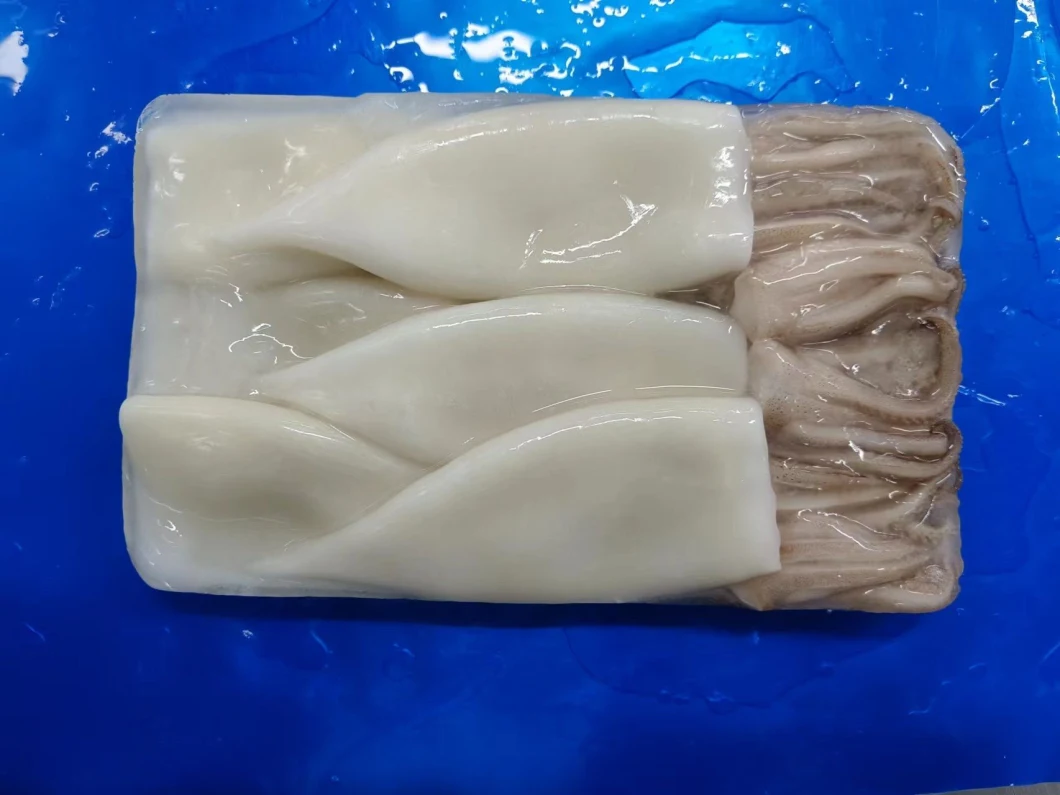 Frozen Squid T+T (Tube, Tentacle) /Calamari T+T/Calamar/Pota/Illex Squid/Gigas Squid/Giant Squid