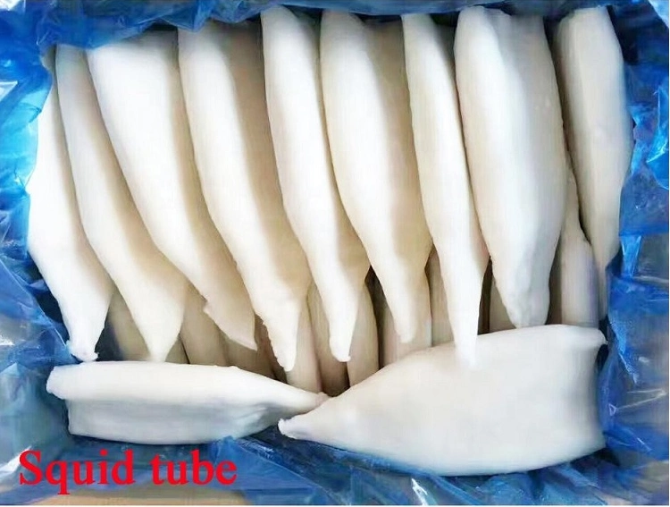 Frozen Squid with Vetetable String High Quality Health Seafood Lllex Giant Squid Product Japanese Squid