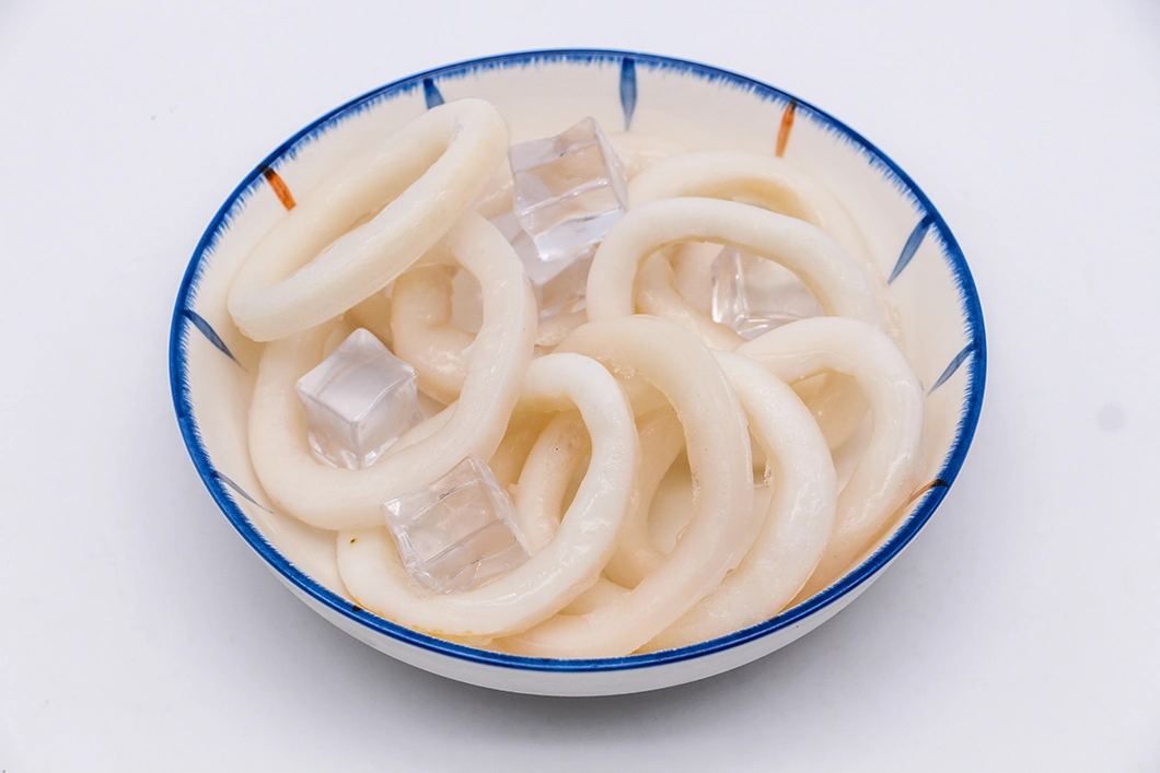 Frozen Skiness Todarodes Pacificus Squid Rings in Japan and South Korea