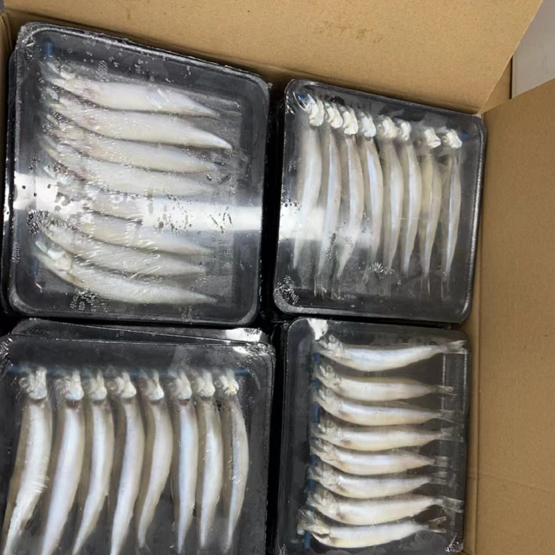 High Quality Delicious Frozen Capelin Frozen Fish Wholesale Mallotus Villosus