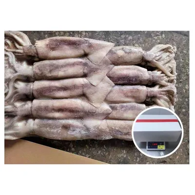 Calamari tondi Illex interi 3kg/blocco 300-400g calamari congelati