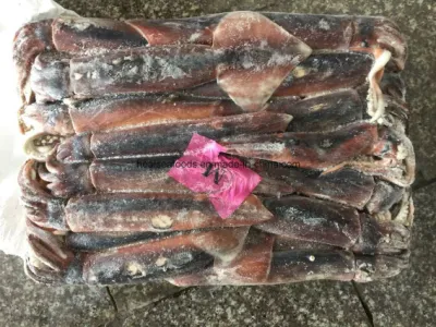 Jigger cattura i calamari congelati di Illex in mare