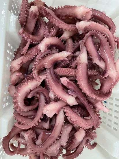 Strisce di tentacoli di calamaro congelato tagliato/Tentacoli di calamaro gigante/Tentacoli di calamaro bollito/Pesci congelati/Sotong