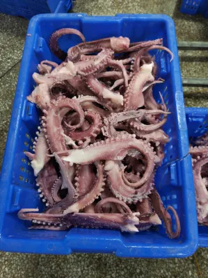 Taglio a strisce di tentacoli di calamari congelati/ Tentacolo di calamari giganti congelati/Calamari/Calamar/Pota/Sotong/Calmar