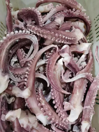 Taglio a strisce di tentacoli di calamari congelati/Tentacoli di calamari giganti/Tentacoli di calamari Gigas/Pesci congelati