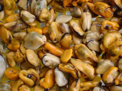 Carne di vongole cinesi congelata