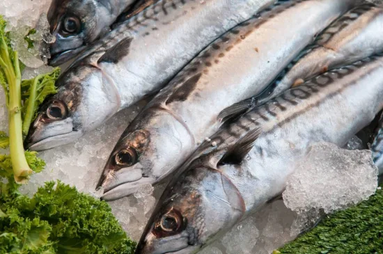 Pesce Scomber Japonicus congelato del Pacifico, intero in vendita